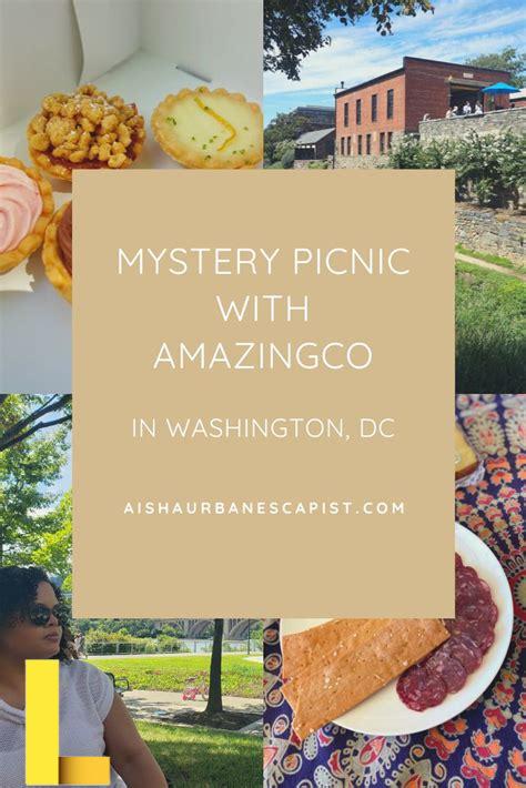 amazingco-mystery-picnic-coupon-code,How to Get Amazingco Mystery Picnic Coupon Code?,thqAmazingcoMysteryPicnicCouponCode