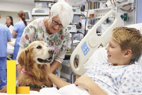 recreational-therapy-activities,Animal-Assisted Therapy,thqAnimalAssistedTherapy
