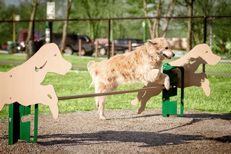 barks-and-recreation,Benefits of Dog Parks for Barks and Recreation,thqBenefitsofDogParksforBarksandRecreation