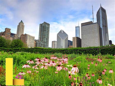 luxury-picnic-chicago,Best Luxury Picnic Spots in Chicago,thqBestLuxuryPicnicSpotsinChicago