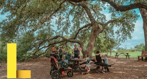austin-picnic,Best Parks in Austin for Picnics,thqBestParksinAustinforPicnics