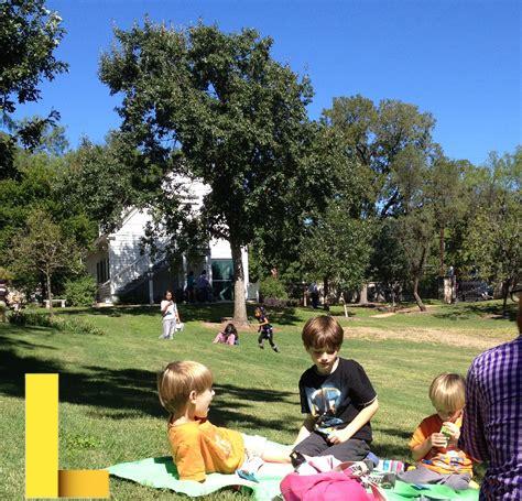 best-picnic-spots-in-austin,Best Picnic Spots in Austin for Families,thqBestPicnicSpotsinAustinforFamilies