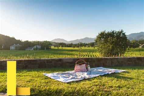 picnic-in-napa,Best Places for Picnic in Napa Valley,thqBestPlacesforPicnicinNapaValley