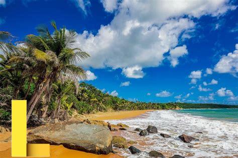 beach-picnic-puerto-rico,Best Beaches in Puerto Rico for a Perfect Picnic,thqBestbeachesinPuertoRicoforaperfectpicnic