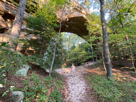 big-south-fork-national-river-and-recreation-area-trails,Best hiking trails in Big South Fork National River and Recreation Area,thqBigSouthForkNationalRiverandRecreationAreaTrails