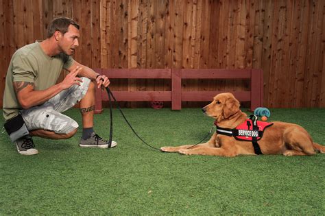dog-recreation-center,Dog Training Services,thqDogTrainingServices