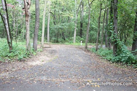 fort-custer-recreation-area-camping,Fort Custer Recreation Area Campsites,thqFortCusterRecreationAreaCampsites