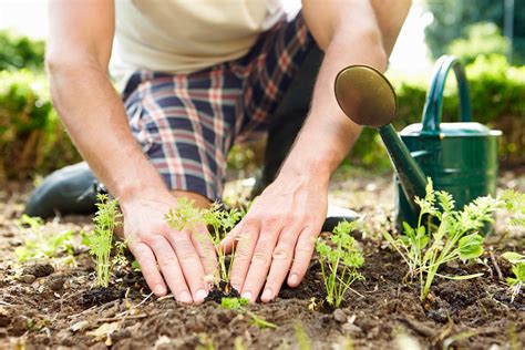 recreational-therapy-activities-for-adults,Gardening,thqGardening