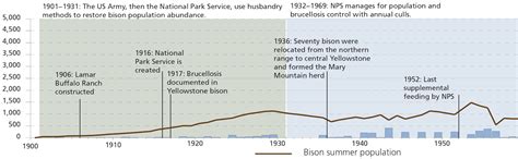 bison-recreational-products,History of Bison Recreational Products,thqHistoryofBisonRecreationalProducts