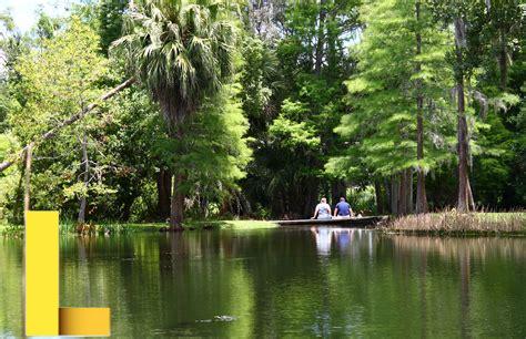 best-picnic-spots-in-orlando,Mead Botanical Garden,thqMeadBotanicalGarden
