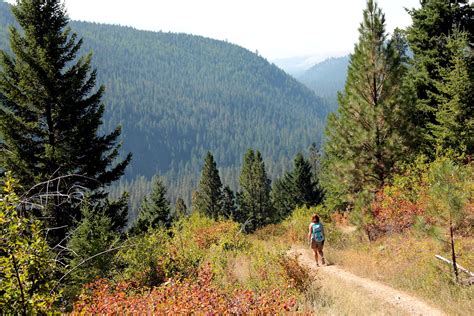 montana-parks-and-recreation,Montana Hiking Trails,thqMontanaHikingTrails