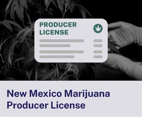 How to Obtain a New Mexico Producer License for Recreational Use?