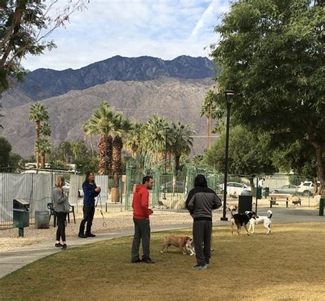 palm-springs-parks-and-recreation,Palm Springs Dog Parks,thqPalmSpringsDogParks