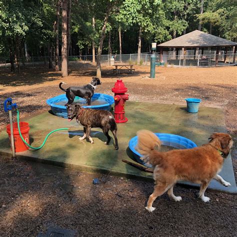 charlotte-nc-parks-and-recreation,Parks for Dogs,thqParksforDogs