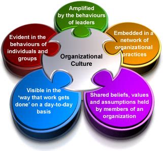 human-resource-management-in-sport-and-recreation,Positive Organizational Culture in Sports,thqPositiveOrganizationalCultureinSports