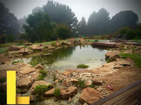 recreation-ponds,Designing a Recreation Pond,thqRecreationPondDesign