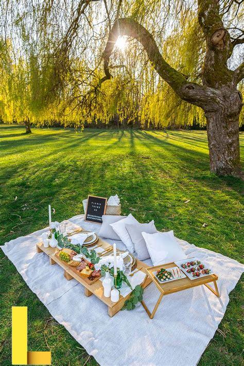 luxury-picnic-dallas,Things to Consider When Planning a Luxury Picnic,thqThingstoConsiderWhenPlanningaLuxuryPicnic