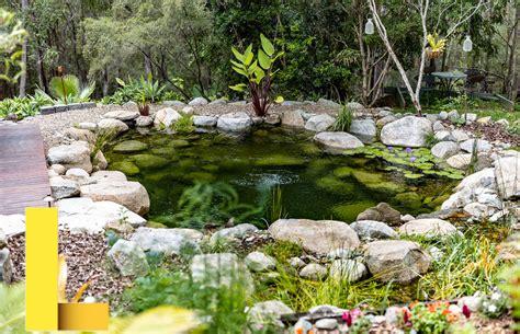 recreational-ponds,Water Management for Recreational Ponds,thqWaterManagementforRecreationalPonds