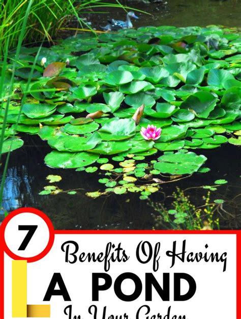 recreational-pond,Benefits of Having a Recreational Pond,thqBenefitsofHavingaRecreationalPond