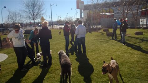 bark-and-recreation,Joining a Dog Community,thqdogcommunity