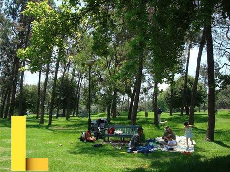 where-to-have-a-picnic-near-me,Picnic Areas at the Zoo and Museums,thqzoopicnicspot